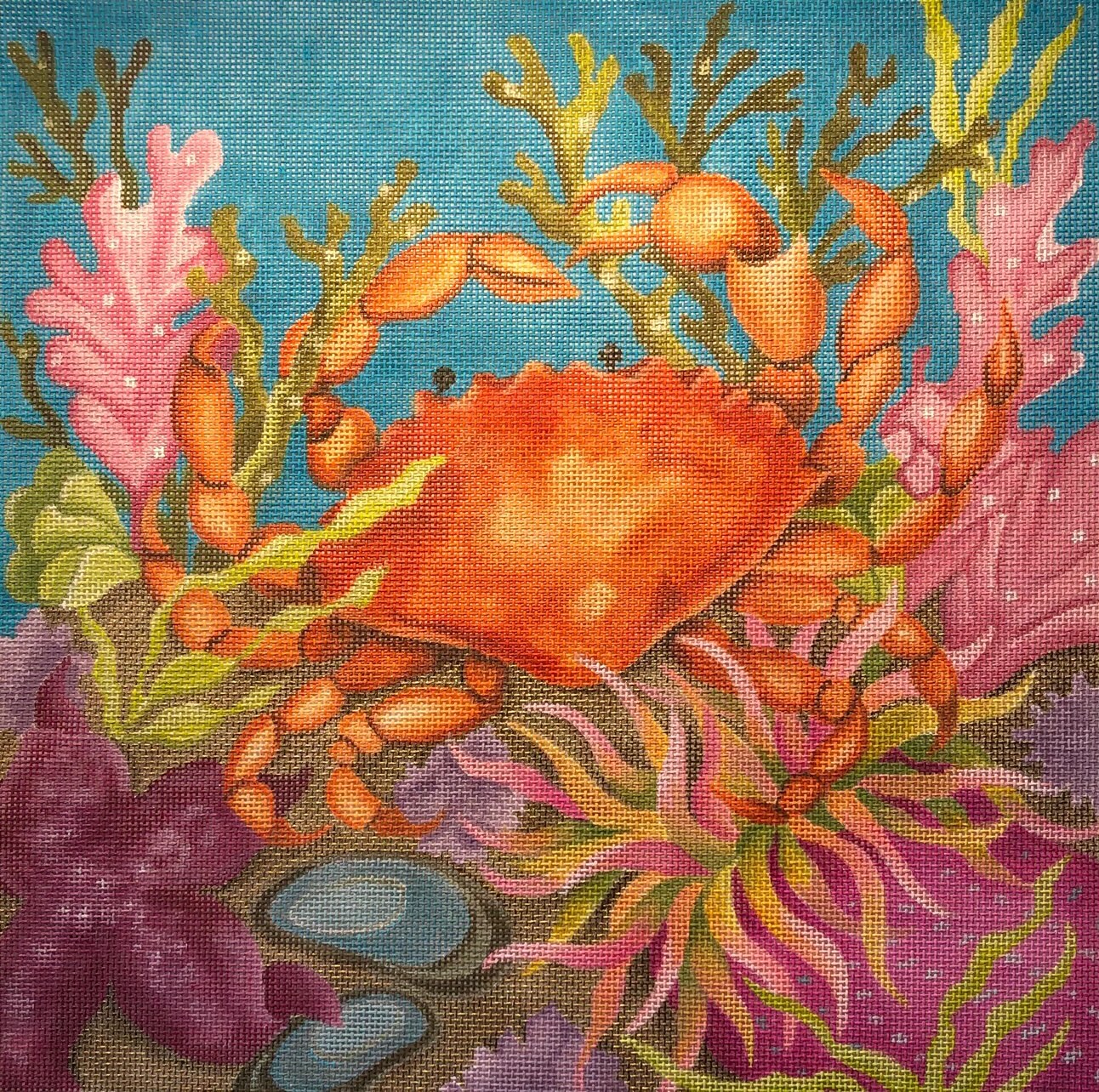 Coral Reef Crab