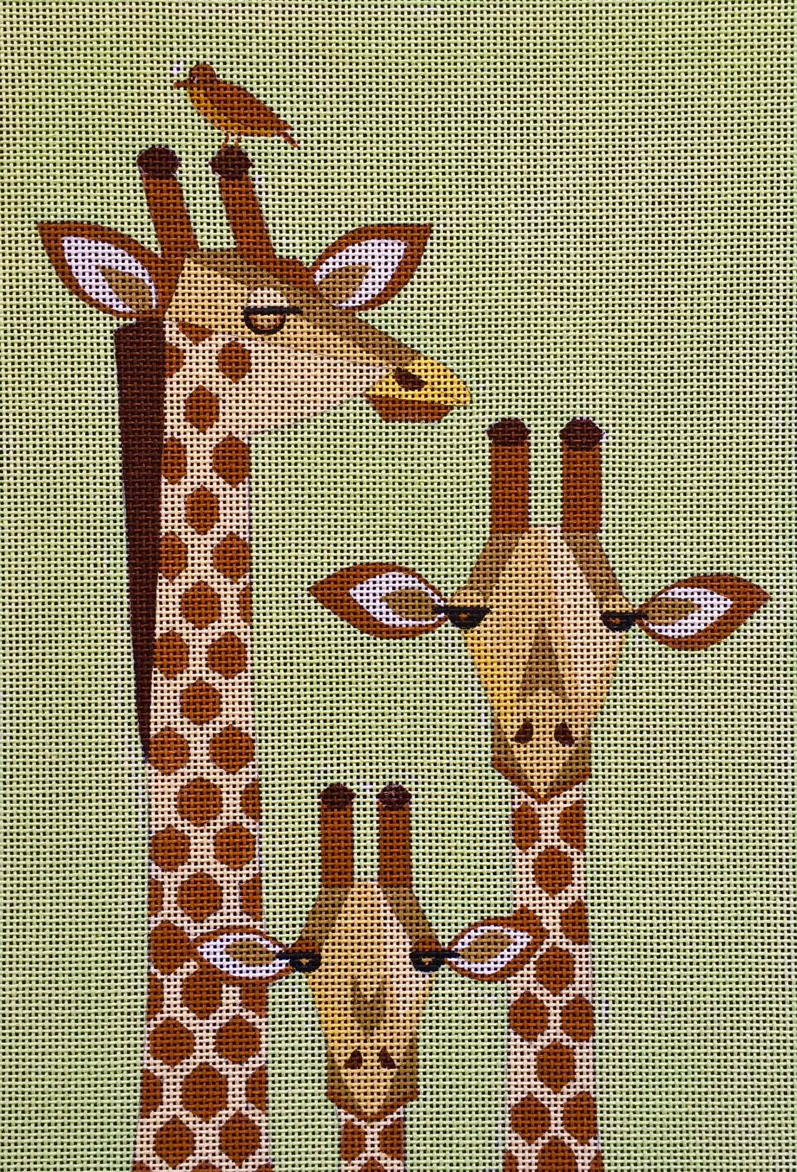 Giraffe Family